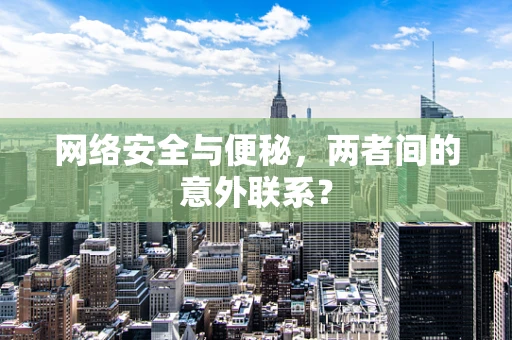 网络安全与便秘，两者间的意外联系？