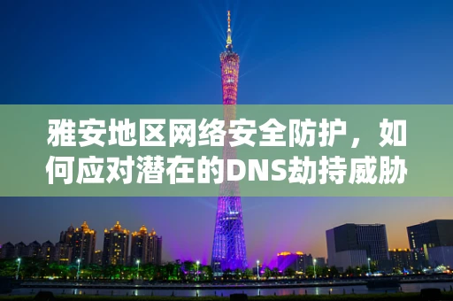雅安地区网络安全防护，如何应对潜在的DNS劫持威胁？