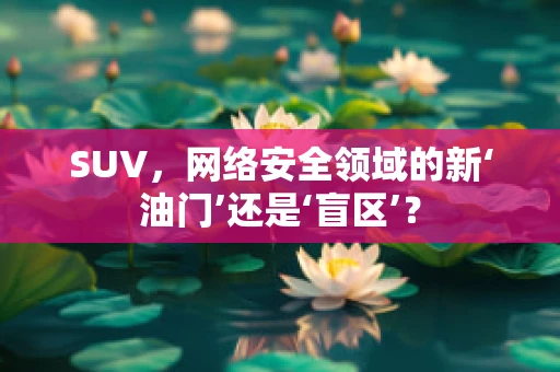 SUV，网络安全领域的新‘油门’还是‘盲区’？