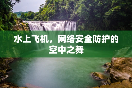 水上飞机，网络安全防护的空中之舞