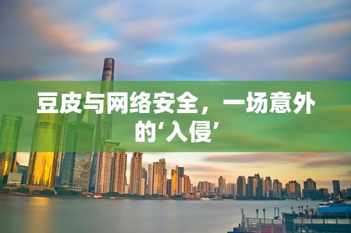 豆皮与网络安全，一场意外的‘入侵’