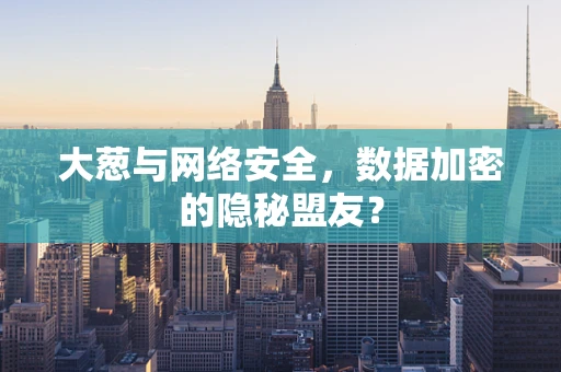 大葱与网络安全，数据加密的隐秘盟友？