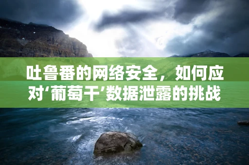 吐鲁番的网络安全，如何应对‘葡萄干’数据泄露的挑战？