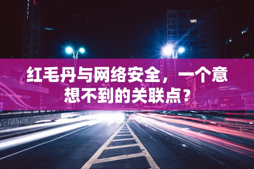 红毛丹与网络安全，一个意想不到的关联点？