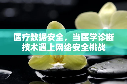医疗数据安全，当医学诊断技术遇上网络安全挑战