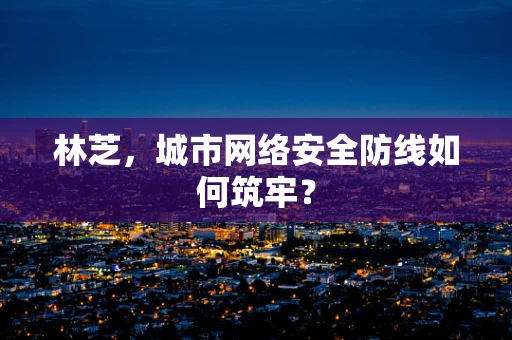 林芝，城市网络安全防线如何筑牢？