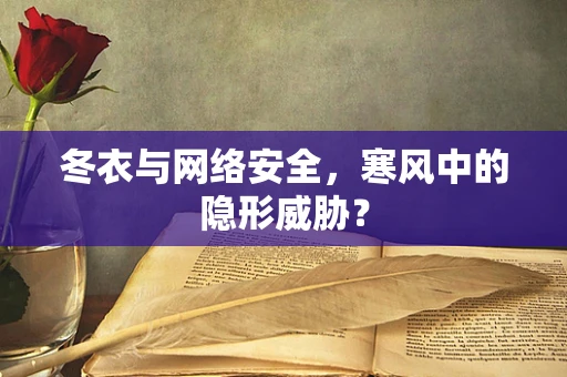 冬衣与网络安全，寒风中的隐形威胁？