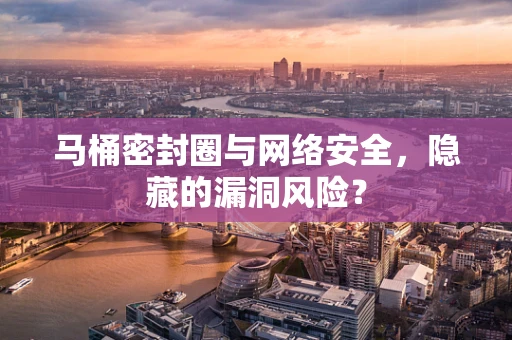 马桶密封圈与网络安全，隐藏的漏洞风险？
