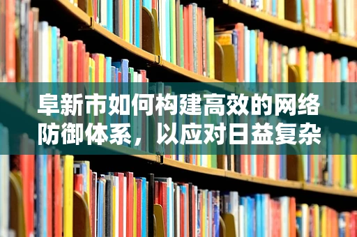 阜新市如何构建高效的网络防御体系，以应对日益复杂的网络威胁？