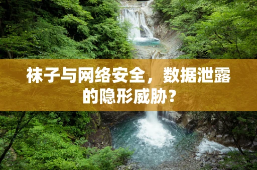 袜子与网络安全，数据泄露的隐形威胁？
