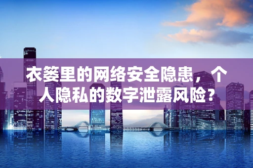 衣篓里的网络安全隐患，个人隐私的数字泄露风险？