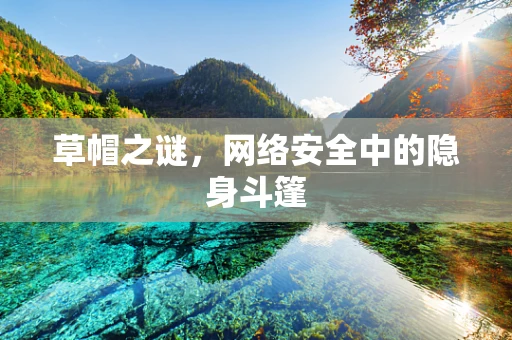 草帽之谜，网络安全中的隐身斗篷