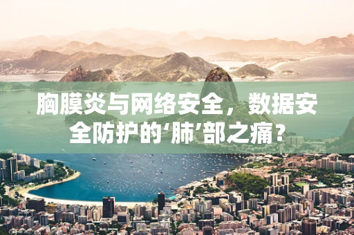 胸膜炎与网络安全，数据安全防护的‘肺’部之痛？