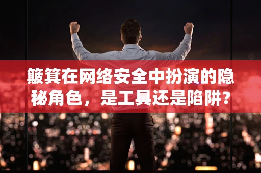 簸箕在网络安全中扮演的隐秘角色，是工具还是陷阱？