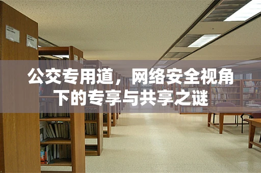 公交专用道，网络安全视角下的专享与共享之谜