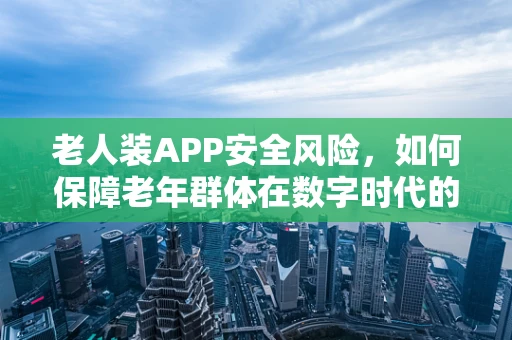 老人装APP安全风险，如何保障老年群体在数字时代的隐私与安全？