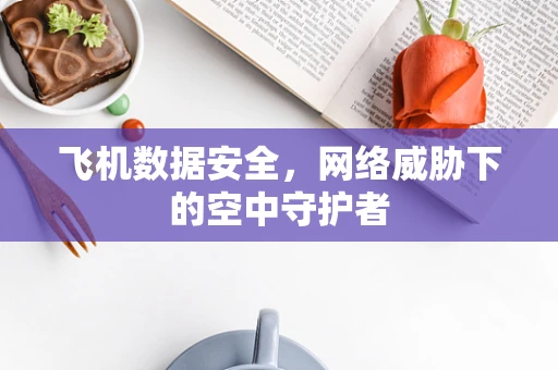 飞机数据安全，网络威胁下的空中守护者
