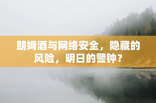 朗姆酒与网络安全，隐藏的风险，明日的警钟？