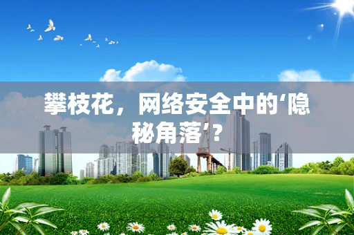 攀枝花，网络安全中的‘隐秘角落’？
