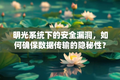 明光系统下的安全漏洞，如何确保数据传输的隐秘性？