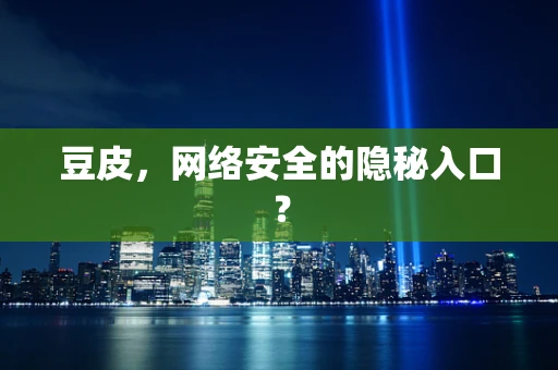 豆皮，网络安全的隐秘入口？