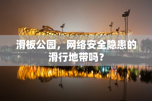 滑板公园，网络安全隐患的滑行地带吗？
