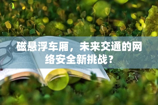 磁悬浮车厢，未来交通的网络安全新挑战？