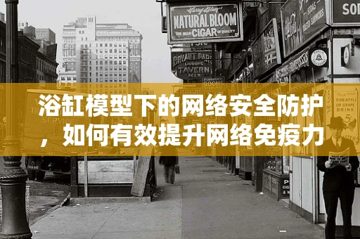 浴缸模型下的网络安全防护，如何有效提升网络免疫力？