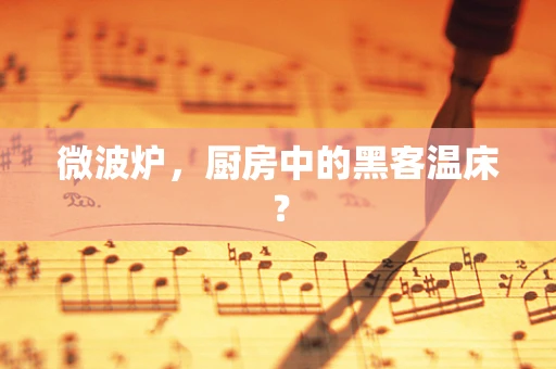 微波炉，厨房中的黑客温床？