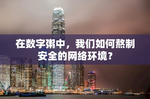 在数字粥中，我们如何熬制安全的网络环境？