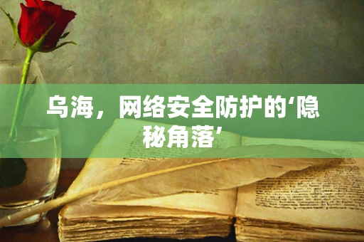 乌海，网络安全防护的‘隐秘角落’