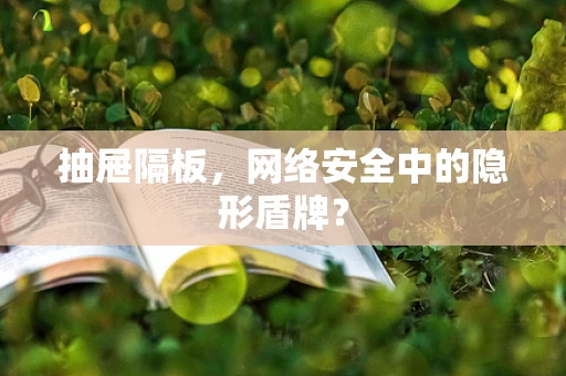 抽屉隔板，网络安全中的隐形盾牌？