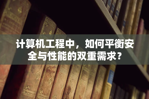 计算机工程中，如何平衡安全与性能的双重需求？