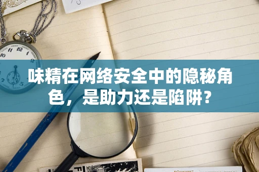 味精在网络安全中的隐秘角色，是助力还是陷阱？