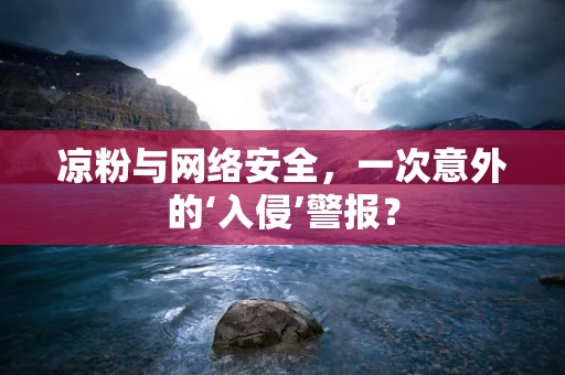 凉粉与网络安全，一次意外的‘入侵’警报？