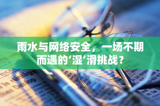 雨水与网络安全，一场不期而遇的‘湿’滑挑战？