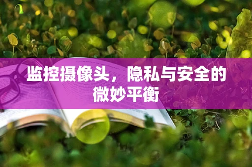 监控摄像头，隐私与安全的微妙平衡