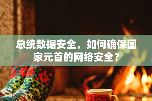 总统数据安全，如何确保国家元首的网络安全？