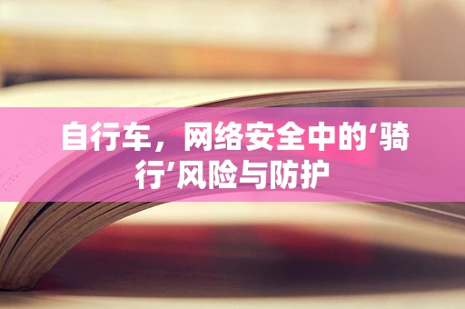 自行车，网络安全中的‘骑行’风险与防护
