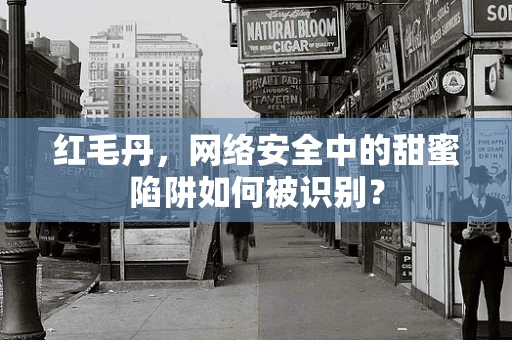 红毛丹，网络安全中的甜蜜陷阱如何被识别？