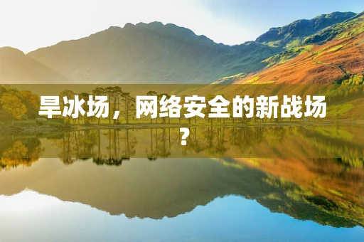 旱冰场，网络安全的新战场？