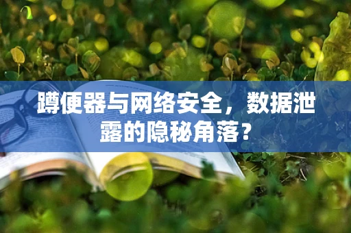 蹲便器与网络安全，数据泄露的隐秘角落？