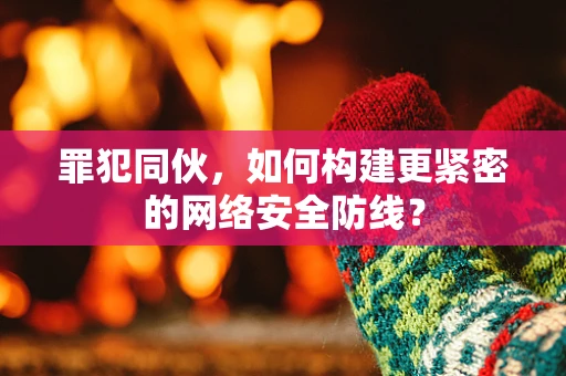 罪犯同伙，如何构建更紧密的网络安全防线？