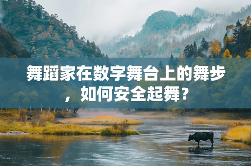 舞蹈家在数字舞台上的舞步，如何安全起舞？
