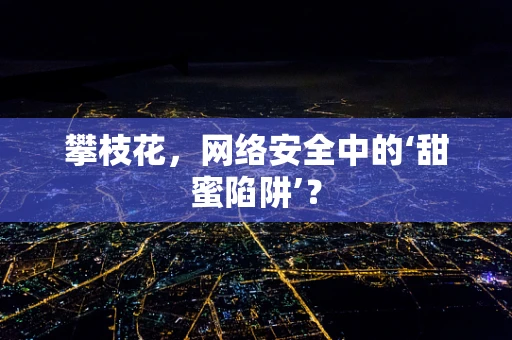 攀枝花，网络安全中的‘甜蜜陷阱’？