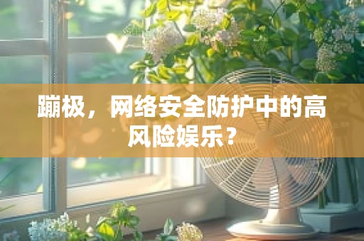 蹦极，网络安全防护中的高风险娱乐？