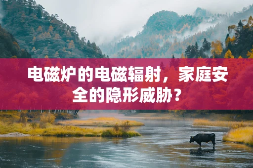 电磁炉的电磁辐射，家庭安全的隐形威胁？