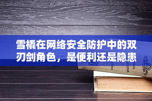 雪橇在网络安全防护中的双刃剑角色，是便利还是隐患？