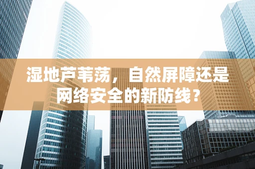 湿地芦苇荡，自然屏障还是网络安全的新防线？