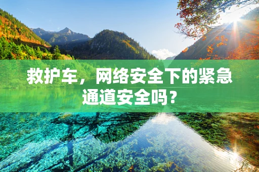救护车，网络安全下的紧急通道安全吗？